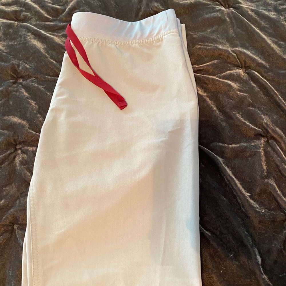 FIGS CEMENT Livingston PANTS